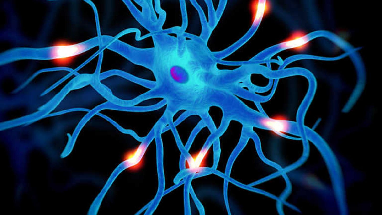 Docufilia - El cerebro automático: El poder del inconsciente - ver ahora