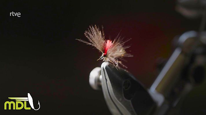 La aventura del Saber - Moscas de León