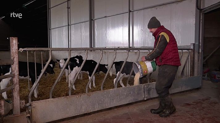 Aquí hay trabajo - Una vaquería familiar