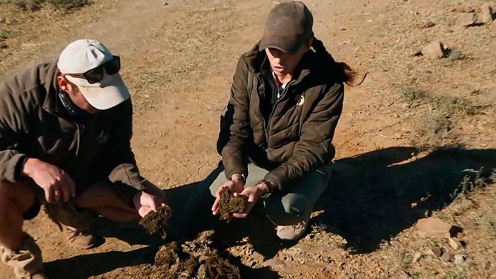 Dra. Fabiola Jones - Buscar excrementos para investigar: así se estudia la salud de los rinocerontes