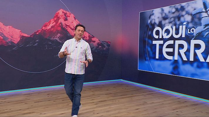 Aquí la Terra - El Zoo, fusteria i aliments fermentats