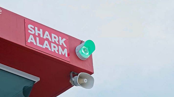 Dra. Fabiola Jones - Dra. Fabiola Jones y los tiburones: conocer para convivir y proteger el océano