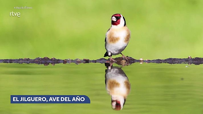 Aquí la Tierra - Aquí la Tierra - 13/01/26