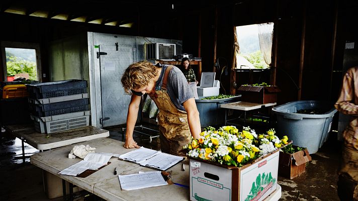 Telediario 1 - Baja rentabilidad, financiación y dificultad para acceder a las tierras: las causas de la falta de relevo general en el campo