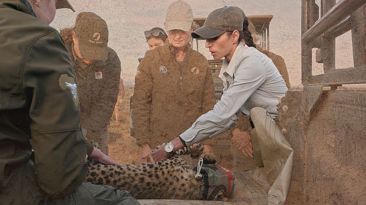 Dra. Fabiola Jones - ¿Qué me pasa, Doctora?