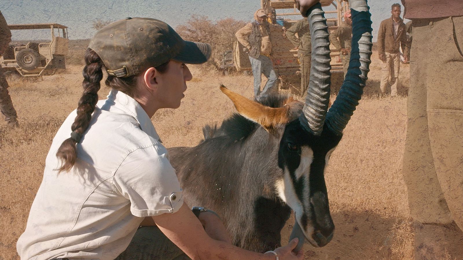 {lastMultimedia.title}}