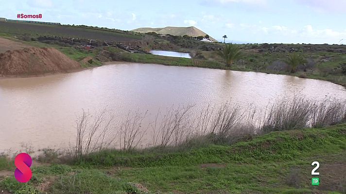 Somos 8 - Somos 8 - 14/01/2026