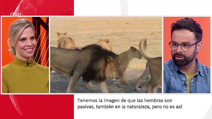 La aventura del Saber - Ricardo Moure. El papel de las hembras en la naturaleza