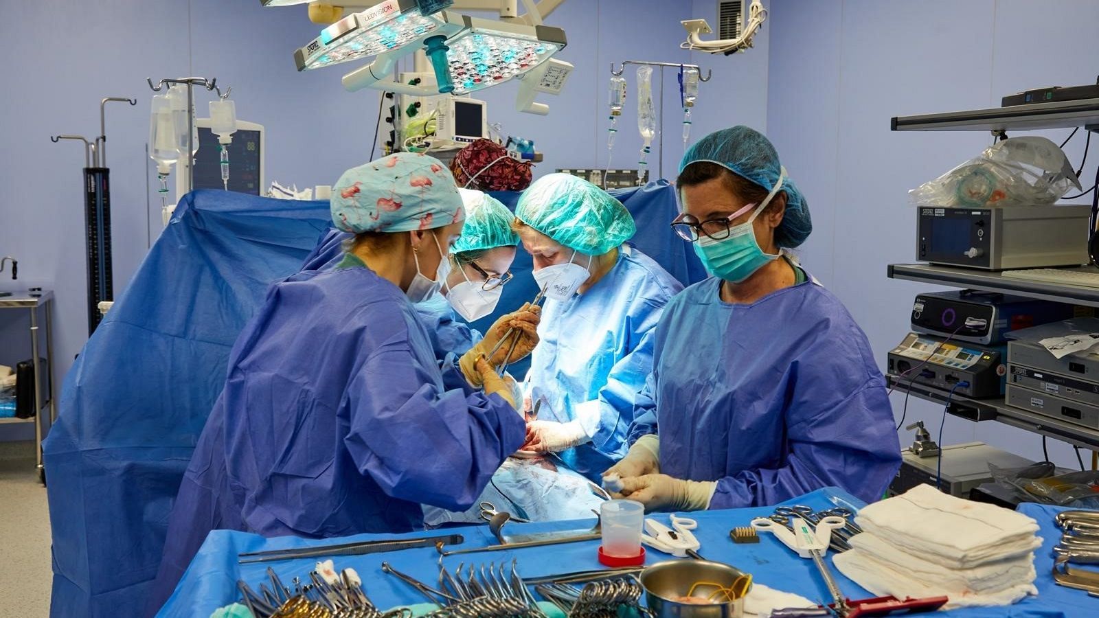 Euskadi, referente internacional en donación de órganos  | RTVE Play - Ver ahora