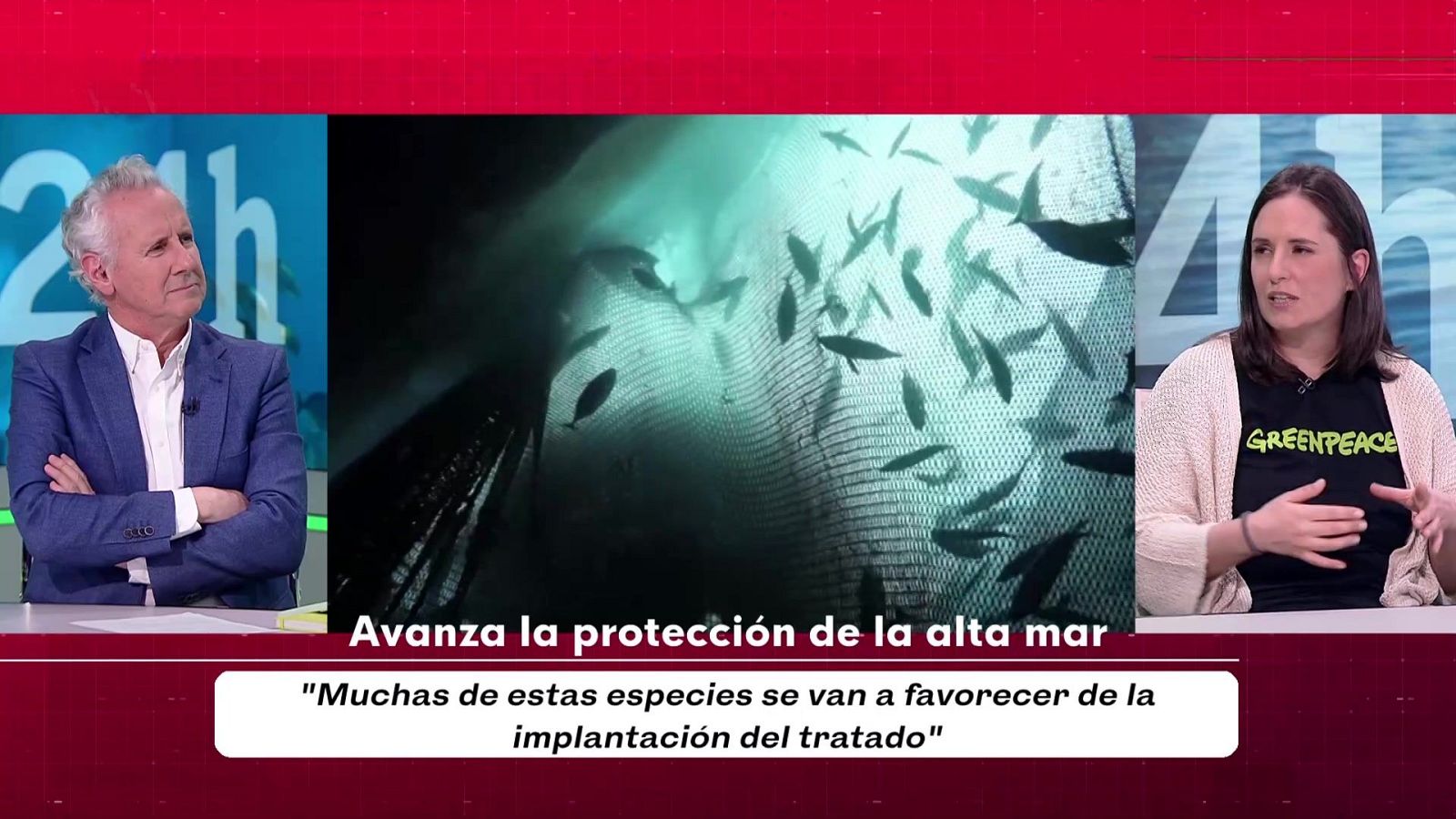 Objetivo Planeta - Avanza la protección de la alta mar - Objetivo Planeta | Ver