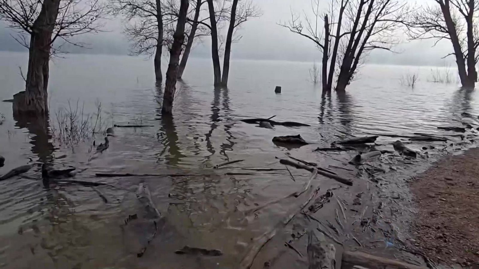 Formatge, vidre bufat i conserves en art - Aquí la Terra - Aquí la Terra | Veure