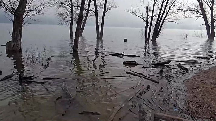 Aquí la Terra - Formatge, vidre bufat i conserves en art