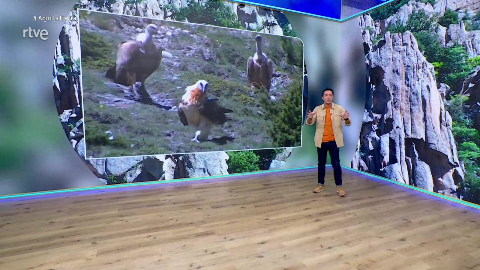 Aquí la Tierra - 16/01/26 - Aquí la Tierra | Ver