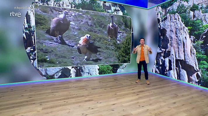 Aquí la Tierra - Aquí la Tierra - 16/01/26