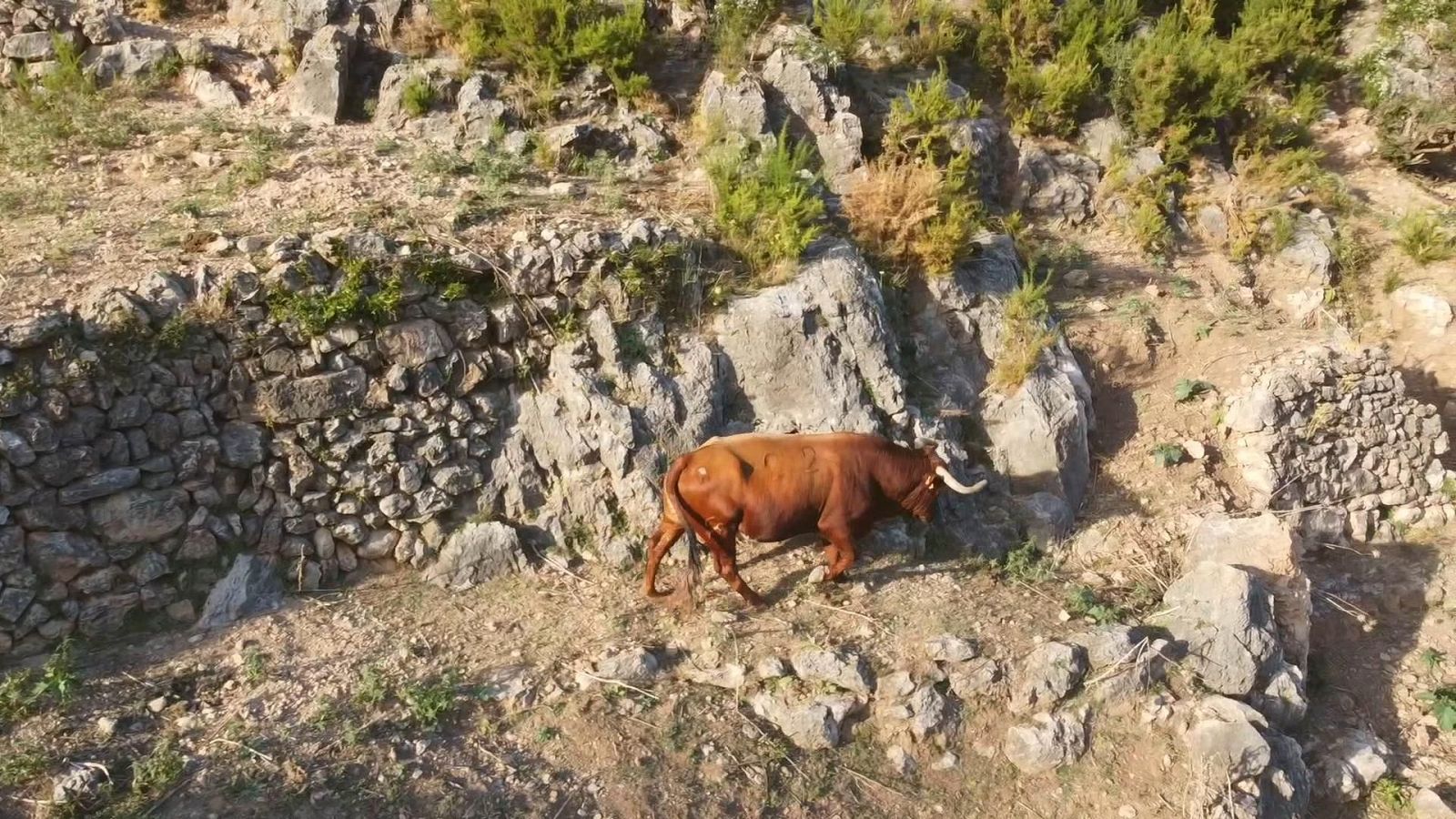 Tendido Cero - 17/01/26 - Tendido cero | Ver