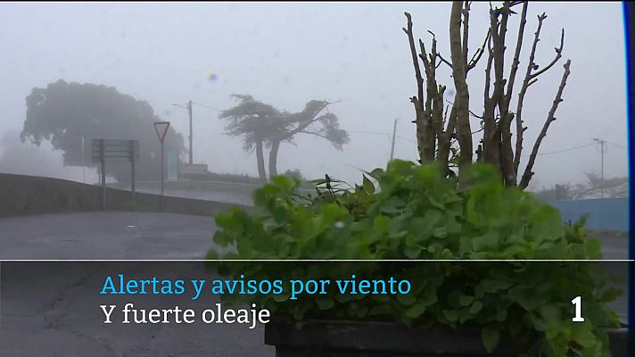 Telecanarias - Telecanarias - 18/01/2026