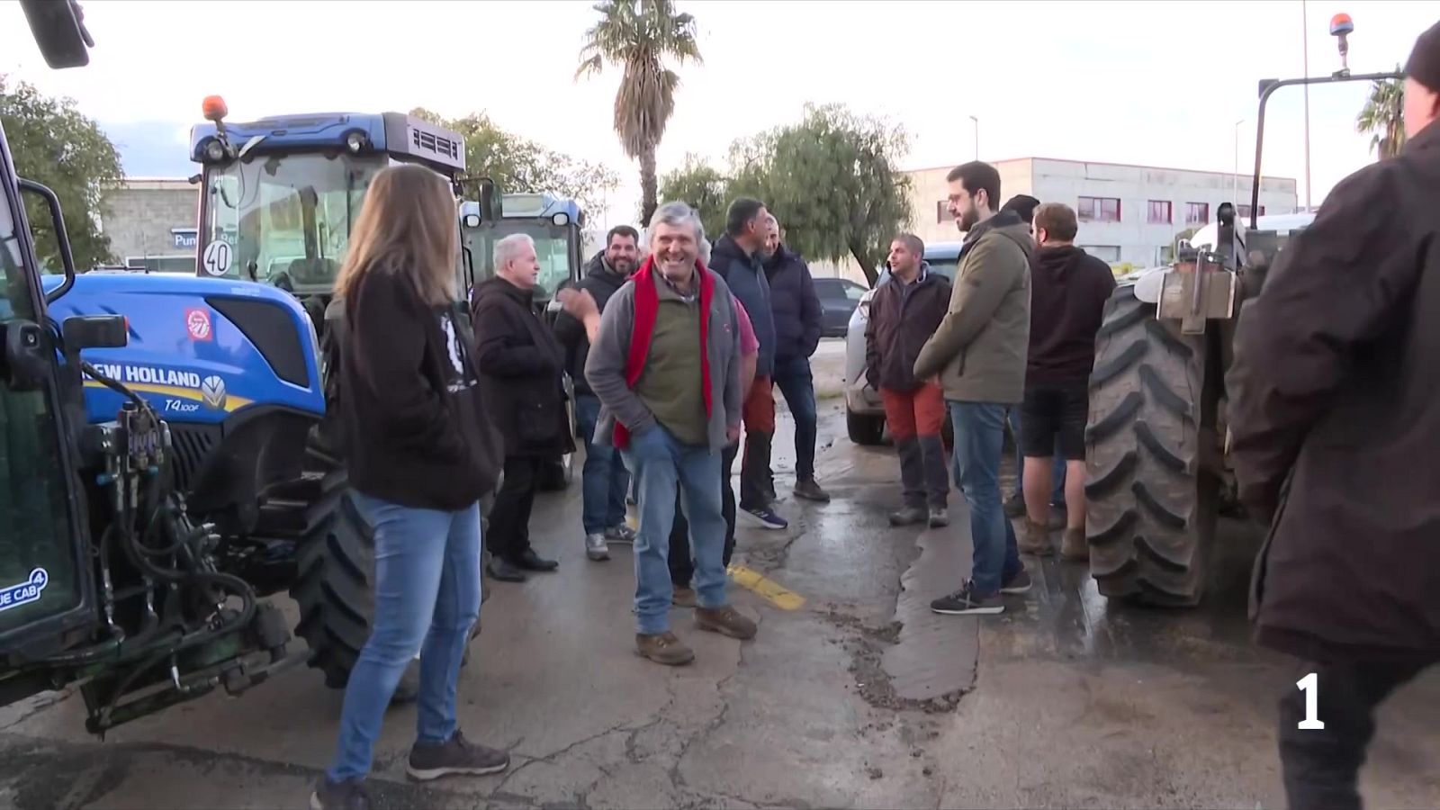 Tractors a Reus per exigir les compensacions pels avellaners arrencats