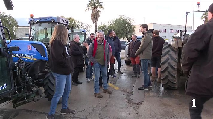L'Informatiu - Tractors a Reus per exigir les compensacions pels avellaners arrencats