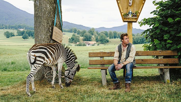 Cine internacional - Una cebra en el equipaje