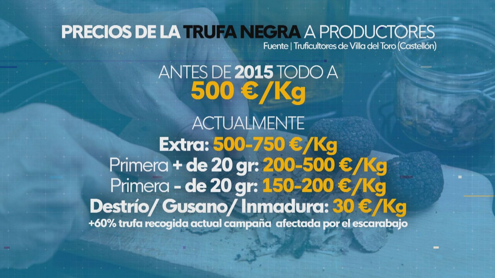 La trufa experimenta una bajada significativa de su precio - L'informatiu - Comunitat Valenciana | Ver