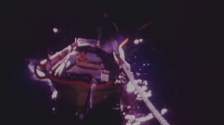 Comarques - I diuen que el peix és car