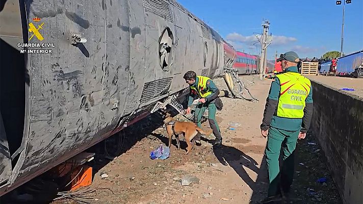 Informativo 24h - Informativo 24 horas - 14h - 20/01/26