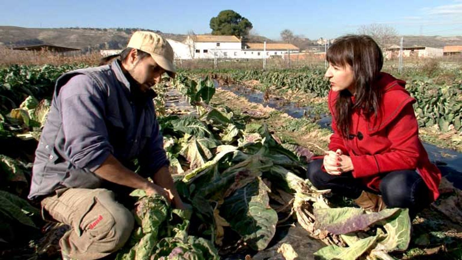 Comando actualidad - Comida a punto de caducar