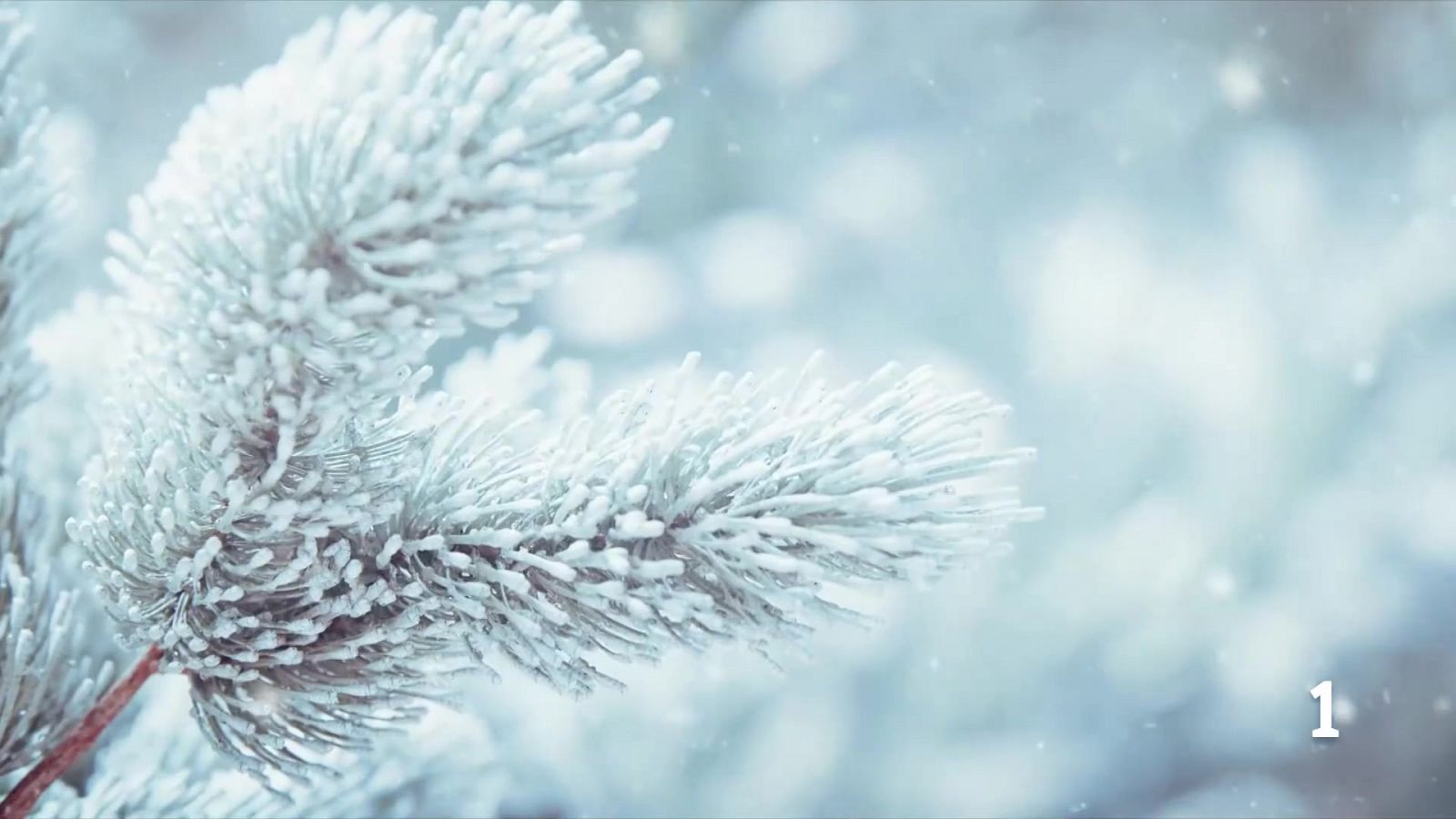 El temps a les Illes Balears - 21/01/26 | Ver