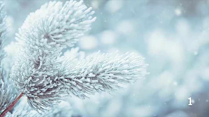 Informatiu Balear - El temps a les Illes Balears - 21/01/26