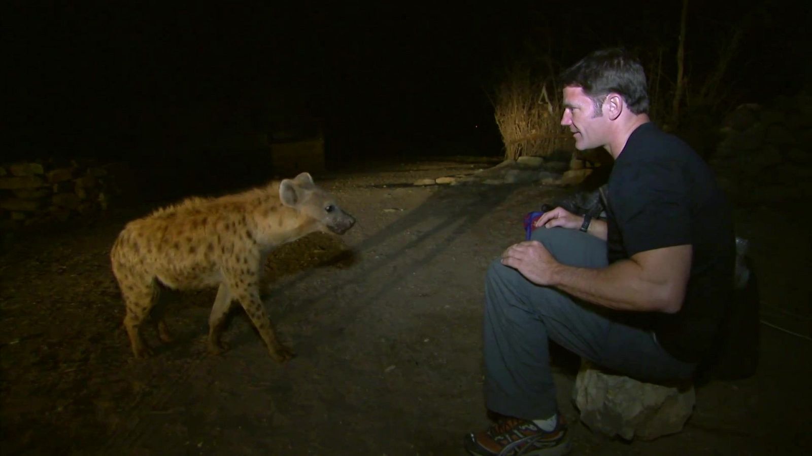 Fauna letal - Episodio 1: Etiopía - Fauna letal | Ver