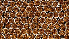 Una fábrica ilegal de tabaco de tres millones de euros