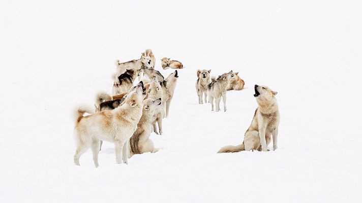 La aventura del Saber - Boek visual: Rosa Rodríguez