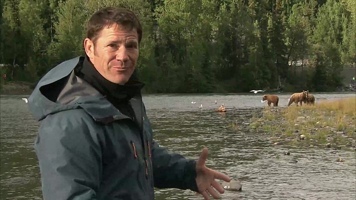 Fauna letal - Alaska