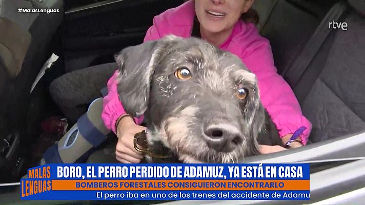 El perro Boro ya está en casa - Malas lenguas | Ver