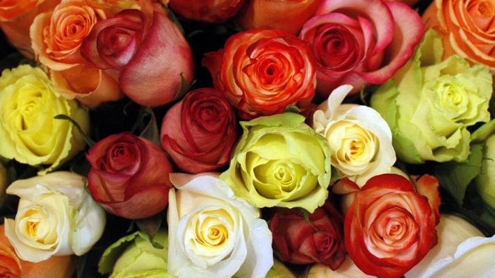 Telediario 1 - Flores, el gran regalo