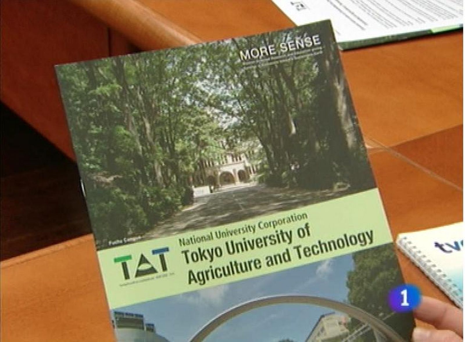 Panorama Regional 2 - 14/02/13 | Ver