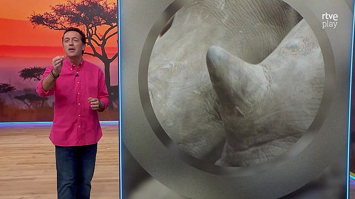 Aquí la Tierra - Aquí la Tierra - 23/01/26