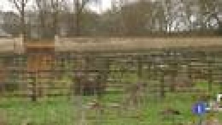 Telediario 1 - El huerto de Luis XIV recuperado