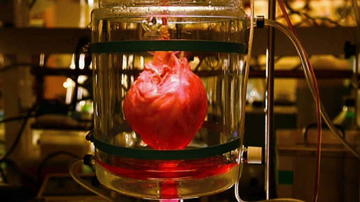 La noche temática - Cómo fabricar un corazón