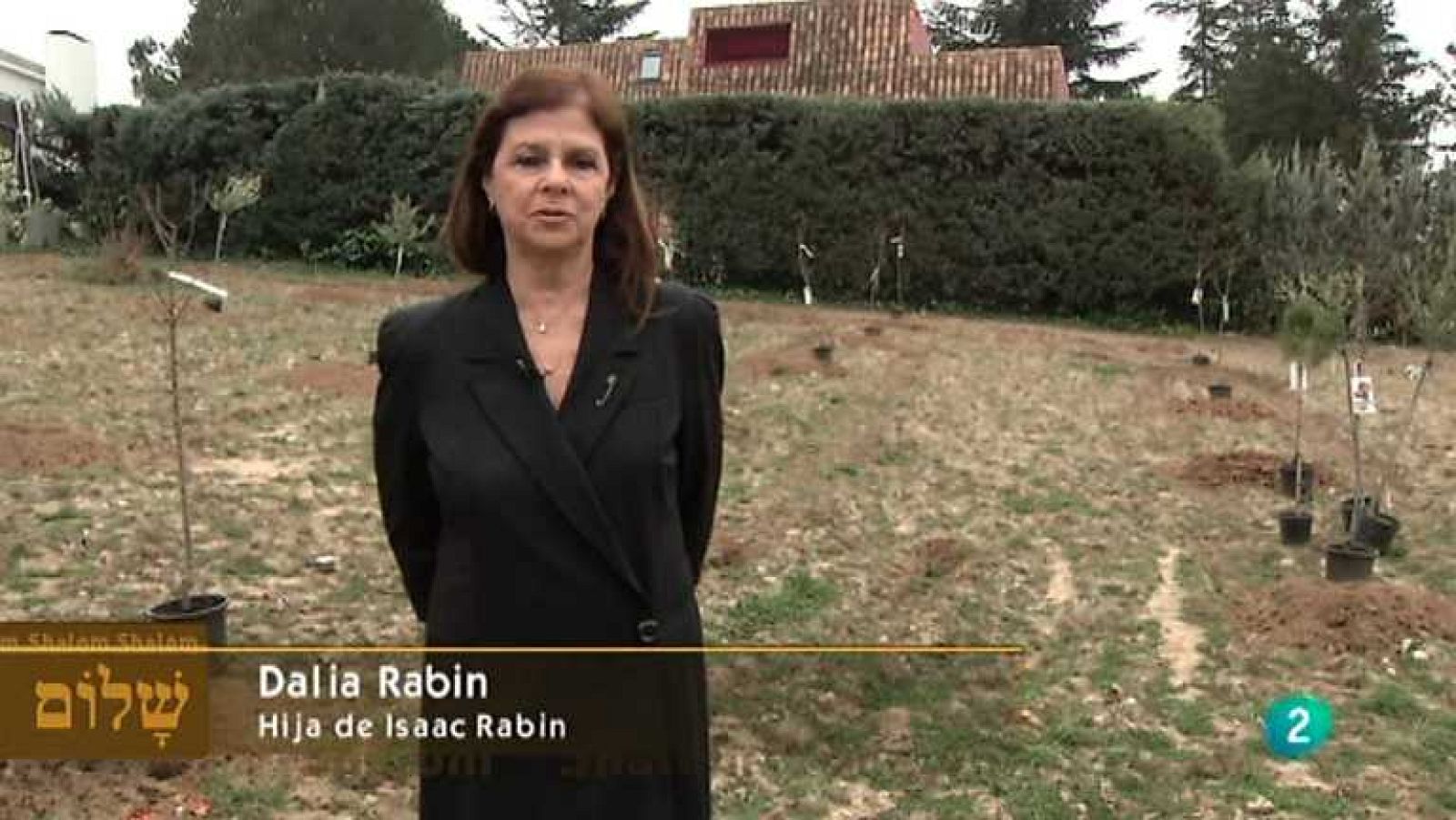 Shalom - El bosque de la convivencia - Ver ahora 