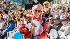 ¿Cuánto cuesta ir al carnaval de Las Palmas?
