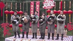 Una guardería de pandas