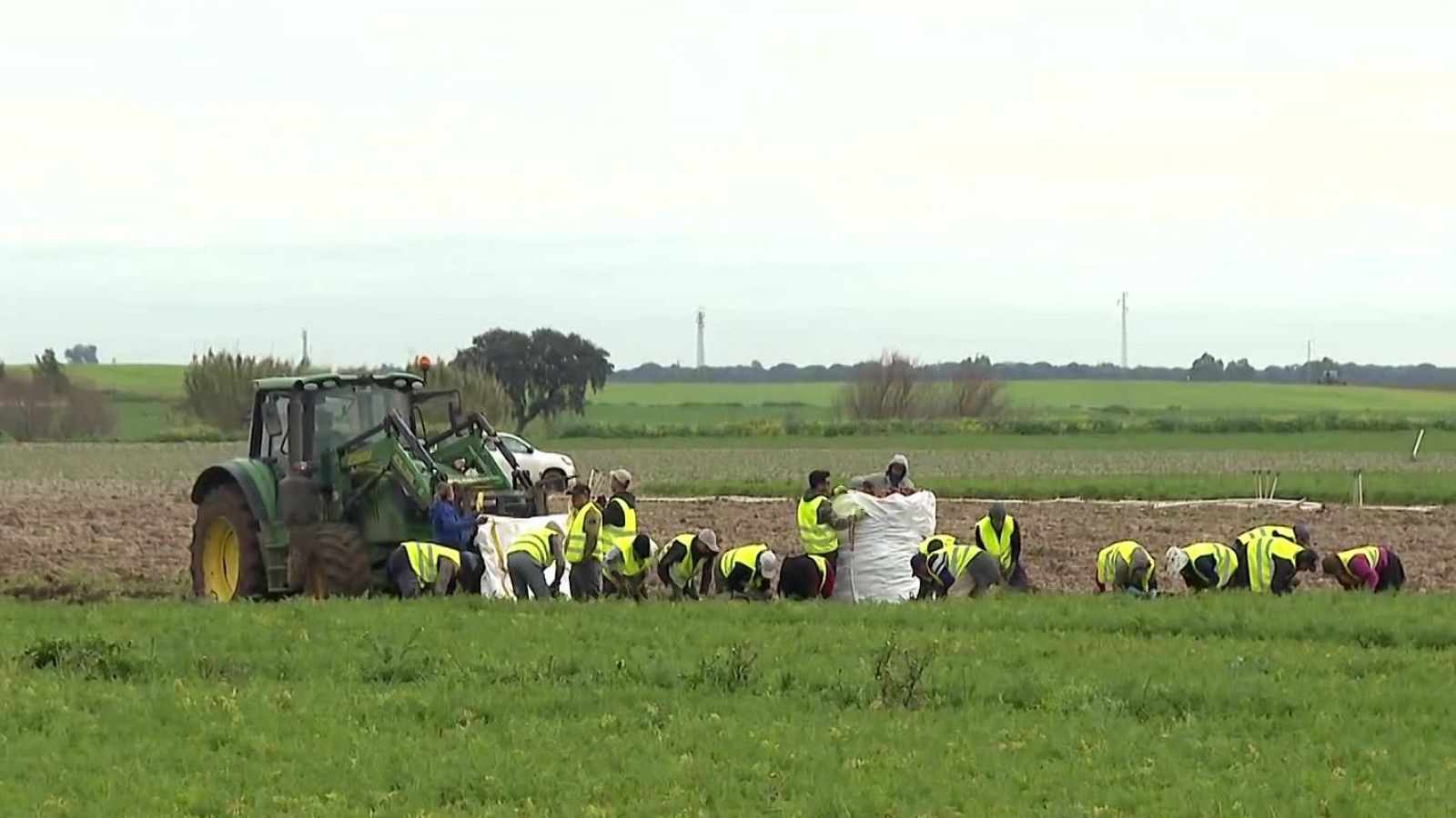 Agrosfera - 21/02/26 - Agrosfera | Ver