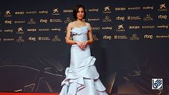 Premios Goya 2026 - Especial alfombra roja en lengua de signos