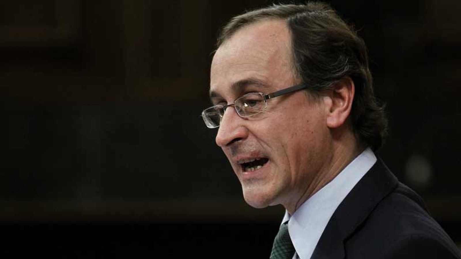 Debate sobre el estado de la Nación 2013 - Alfonso Alonso, PP - Ver ahora