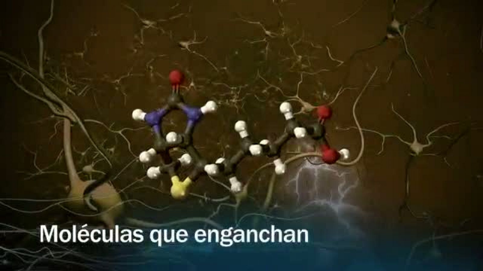 Redes - Moléculas que enganchan - avance