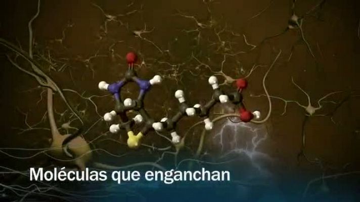 Moléculas que enganchan - avance