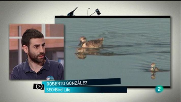 Para todos La 2 - Seo Bird Life
