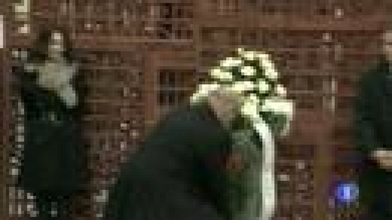 Telenorte 2 País Vasco - 22/02/13 | Ver