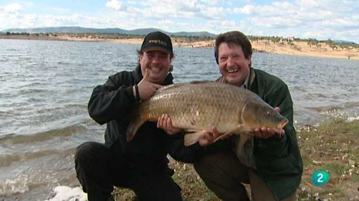 Jara y sedal - Las carpas de Sierra Brava